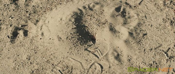 Паранормальное / The Endless (2017) BDRip &#124; L2 2