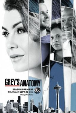 Анатомия Грей / Анатомия страсти / Grey&#39;s Anatomy [14 Сезон. 1-15 из 24] (2017) WEB-DLRip &#124; BaibaKo