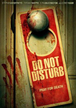 Не беспокоить / Do Not Disturb (2013)