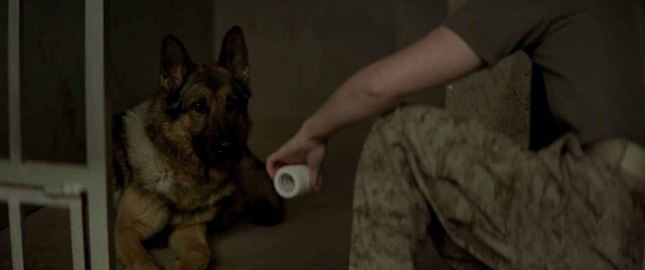 Меган Ливи / Megan Leavey (2017) BDRip 720p &#124; iTunes 2