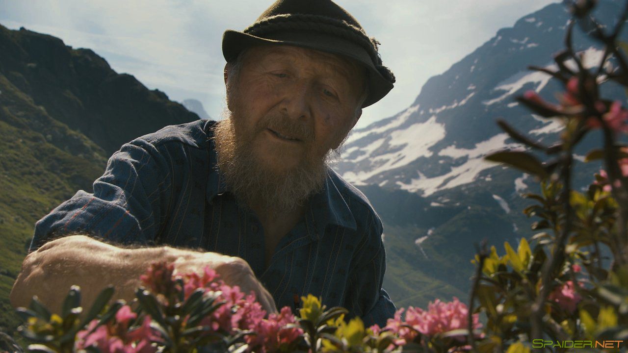 Больше чем мёд / More Than Honey (2012) BDRemux 1080p 1