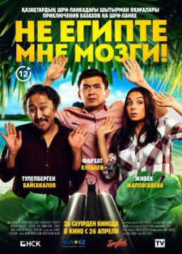 Не египте мне мозги! (2018) SATRip