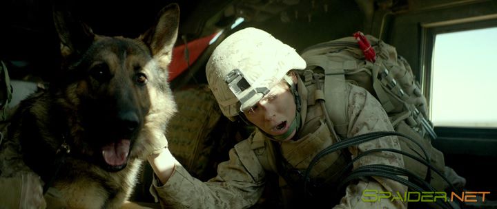 Меган Ливи / Megan Leavey (2017) BDRip | iTunes 0