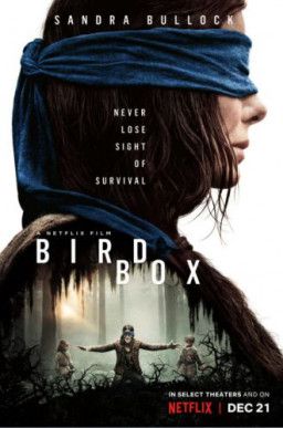 Птичий короб / Bird Box (2018) WEB-DL 1080p &#124; Sub