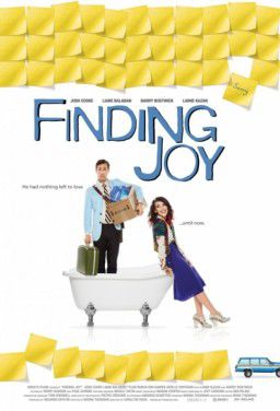 В поисках радости / Finding Joy (2013)