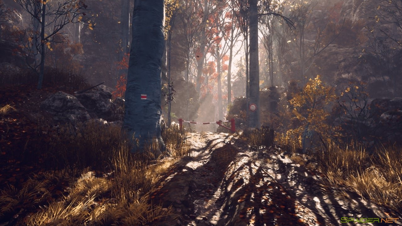 Someday youll return 0 Someday youll return 0