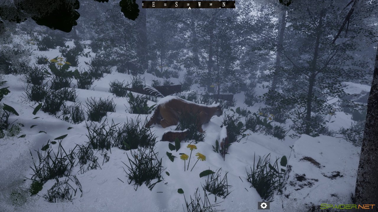 Untamed Kingdom 0 Untamed Kingdom 0