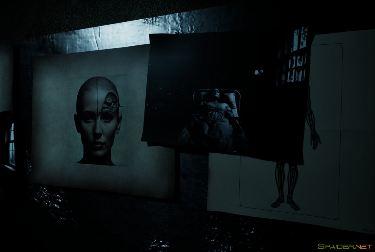 Forest Asylum 3 Forest Asylum 3