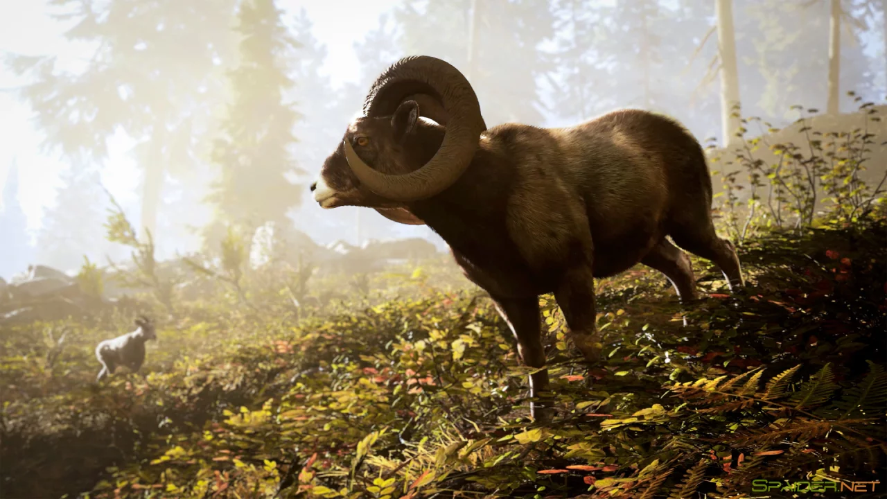 Hunting Simulator 3 2 Hunting Simulator 3 2